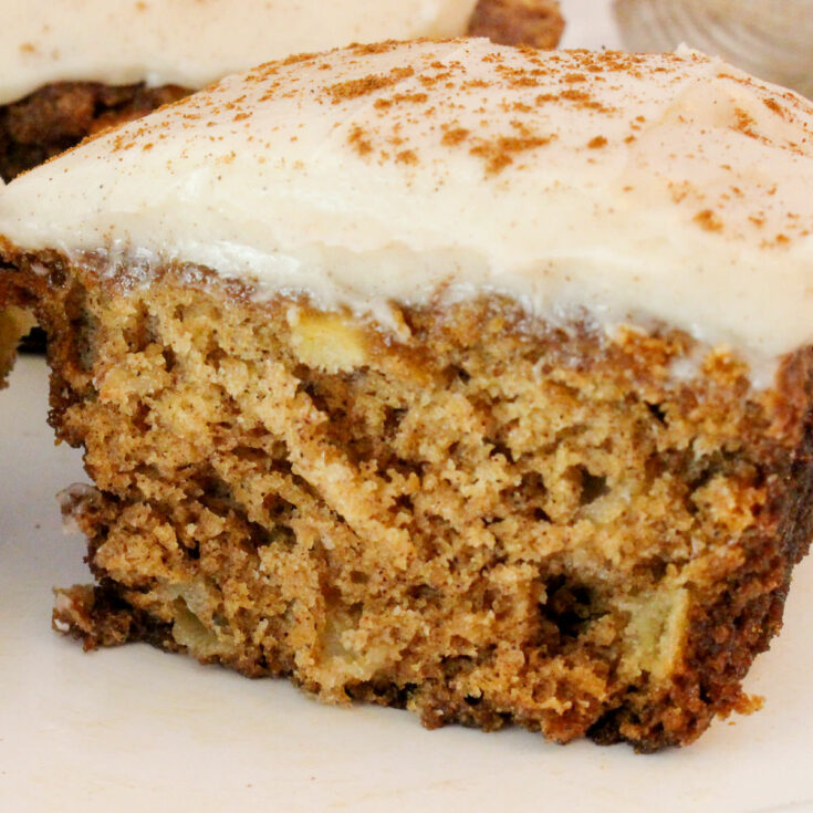 Apple Bread Mini Loaves