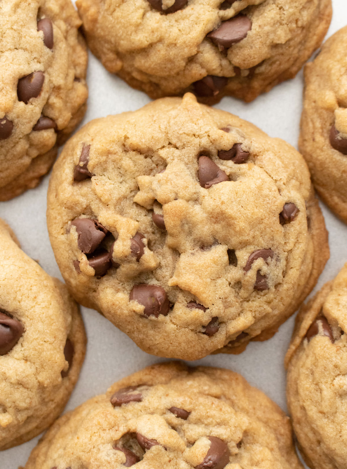 Closeup on a batch of Brown Butter Chocolate Chip Cookies laying flat on a cookie sheet.