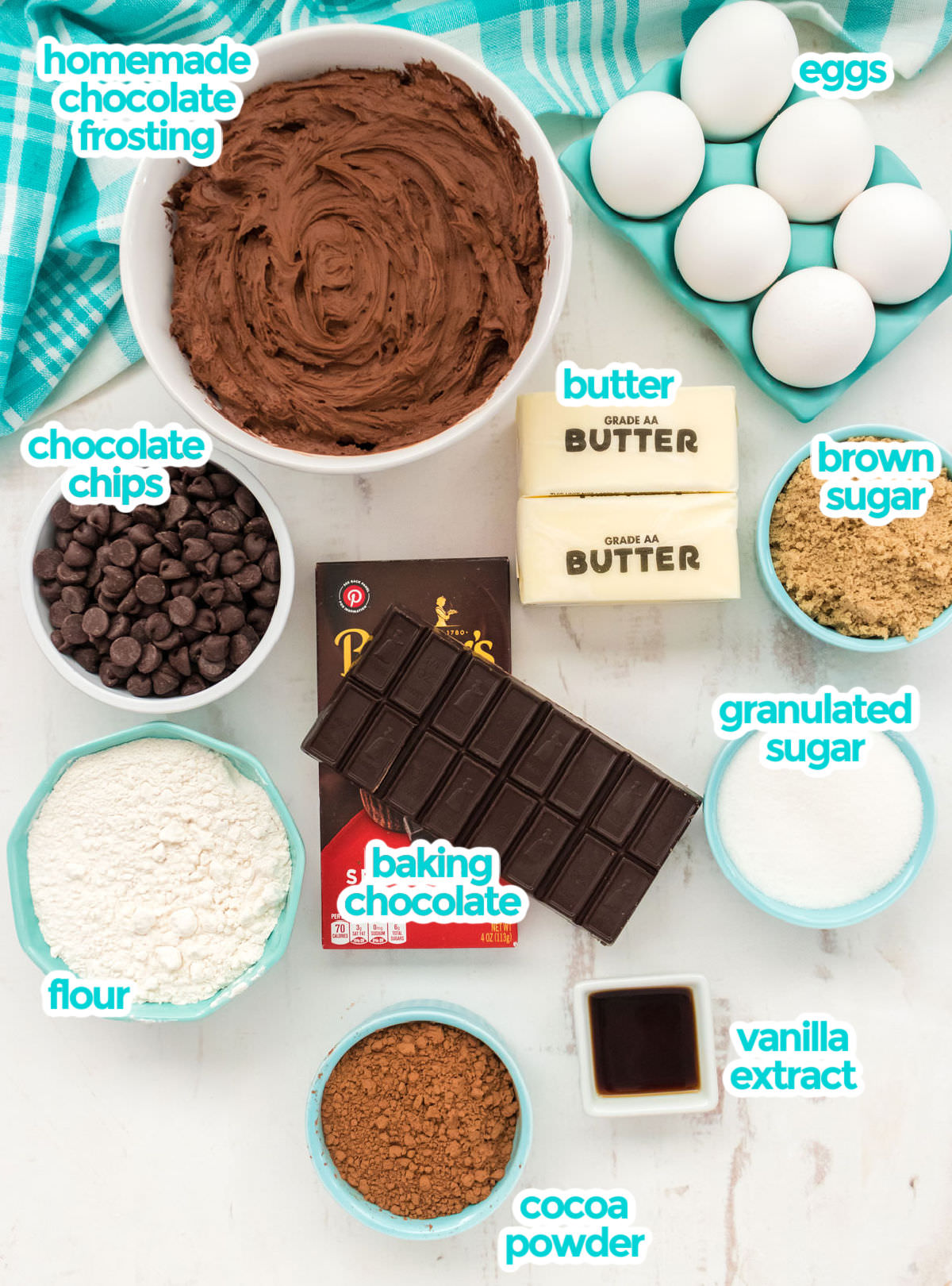 All the ingredients necessary to make Frosted Brownies including Chocolate Frosting, eggs, brown sugar, granulated sugar, butter, chocolate chips, baking chocolate, flour, cocoa powder and vanilla extract.