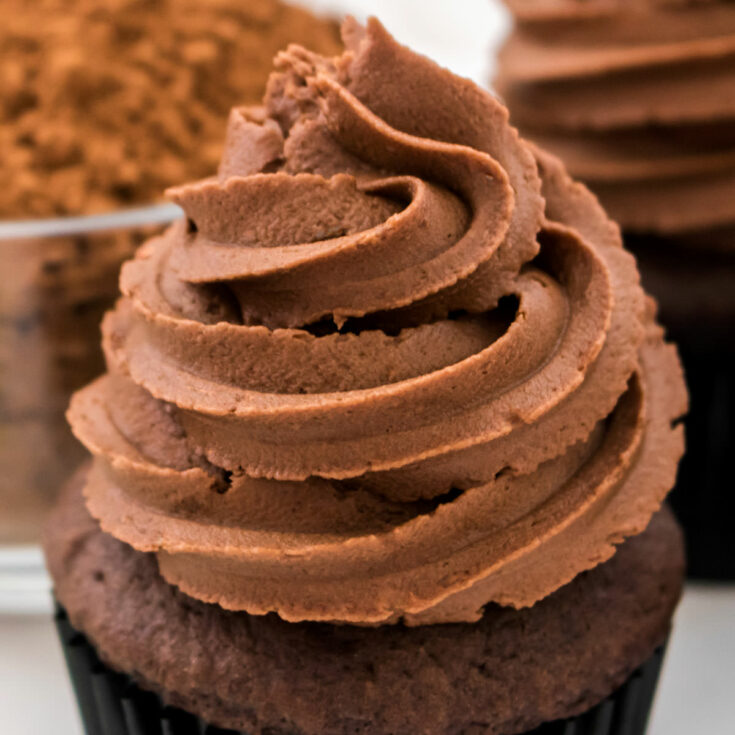 The Best Chocolate Mint Buttercream Frosting