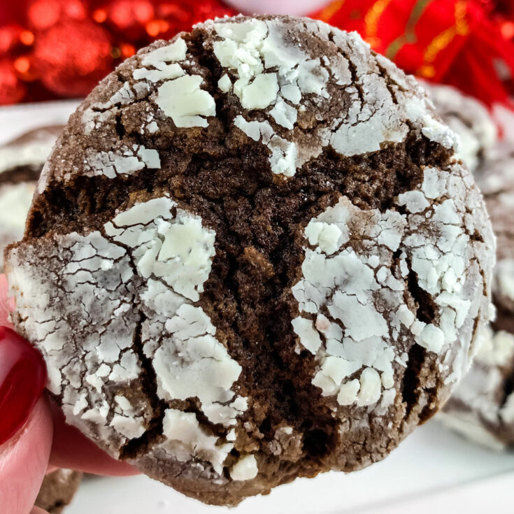 Chocolate Crinkle Cookies