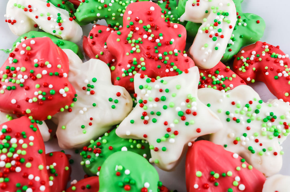 Closeup on a batch of Christmas Circus Animal Cookies on a white plate.