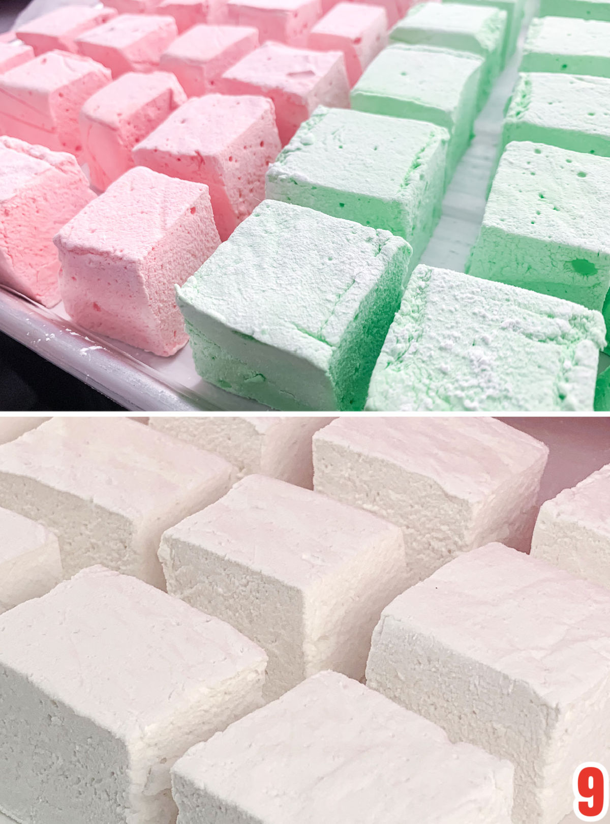Collage image showing Red, Green and White Christmas Homemade Marshmallows sitting in rows on cookie sheets.
