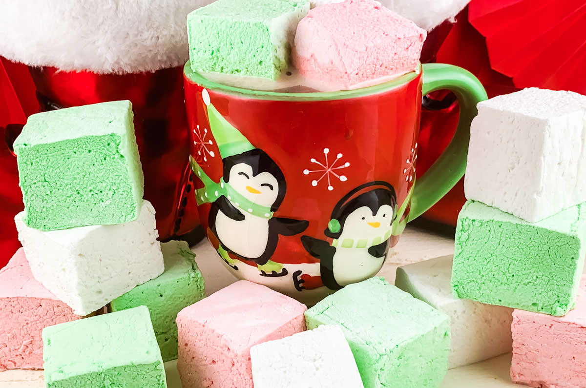 Red, Green and White Christmas Homemade Marshmallows sitting on a white surface in front of a Christmas Coffee Mug filled with hot chocolate and two homemade marshmallows.