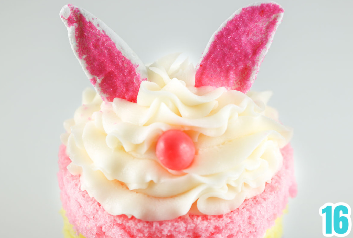 Closeup on the top of an Easter Bunny Cake to show the Marshmallow Bunny Ears and the bunny nose.