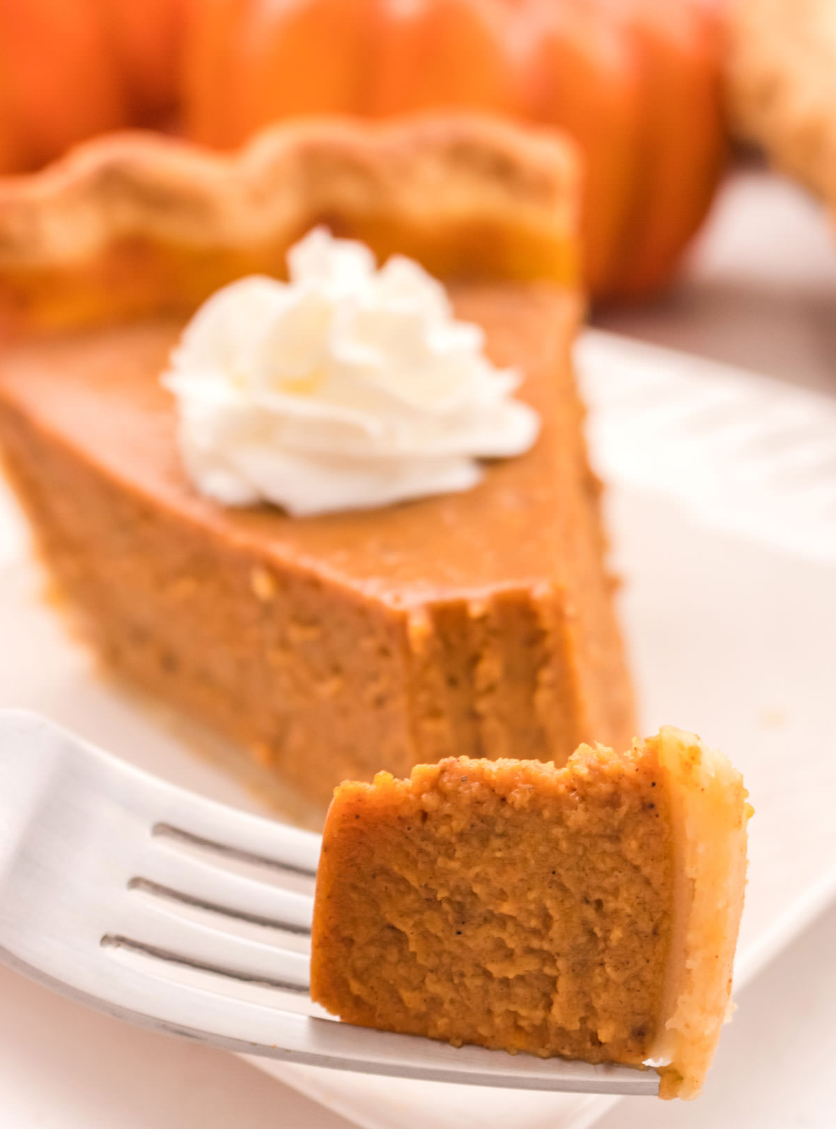 Closeup on a piece of homemade pumpkin pie with a dollop of whipped cream on a white plate.