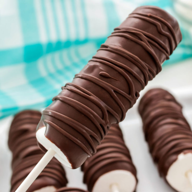 Chocolate Marshmallow Pops