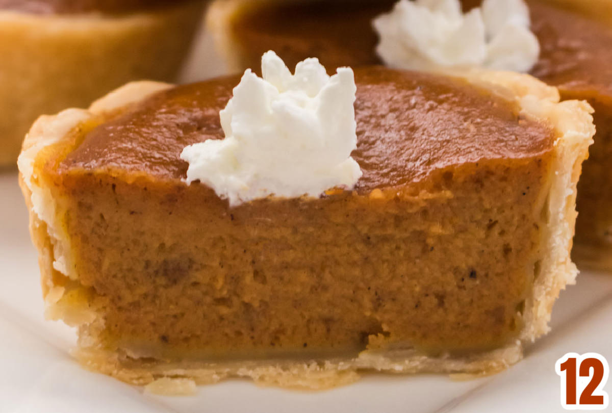 Closeup on a Mini Pumpkin Pie topped with a small dollop of Whipped Cream, cut in half.
