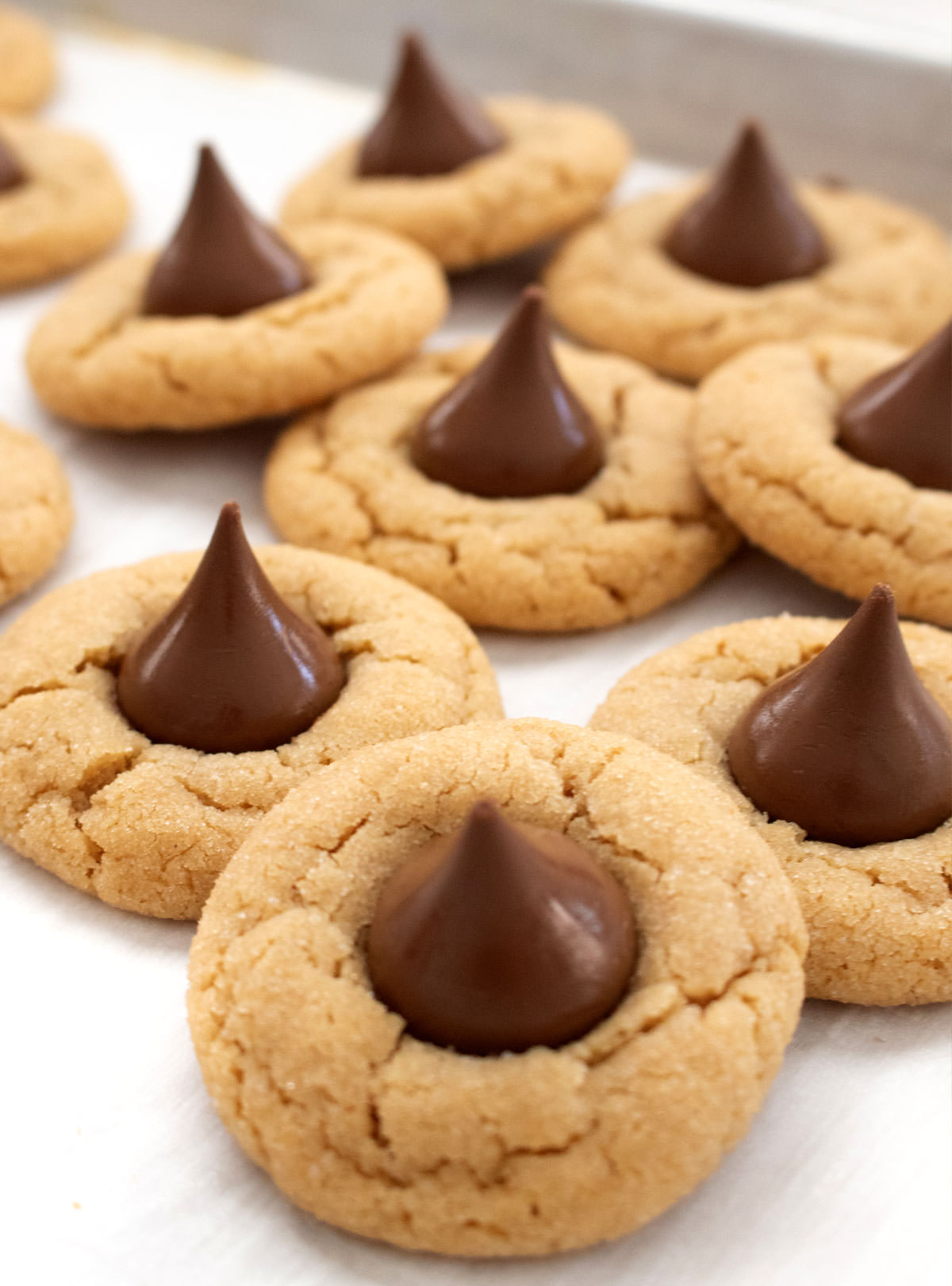 Closeup on a batch of Peanut Butter Blossoms on a cookie sheet.