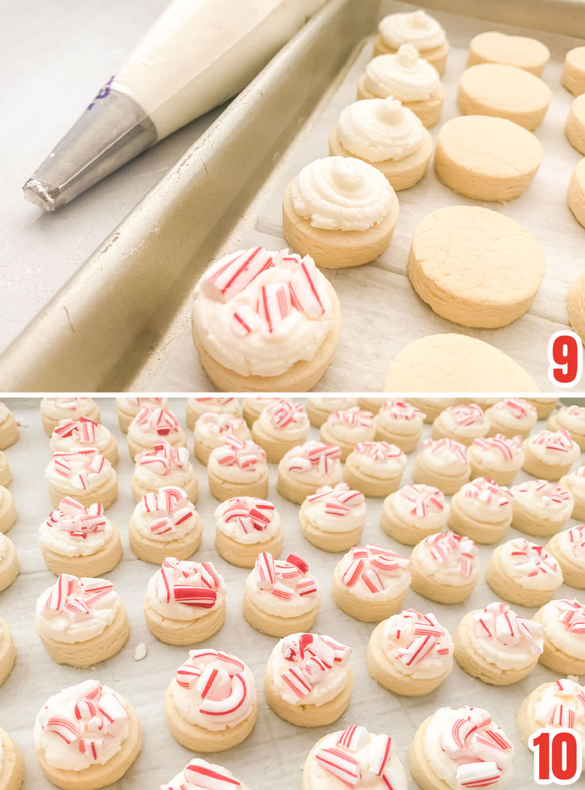 Collage image showing the steps for frosting and decorating the Peppermint Sugar Cookies.
