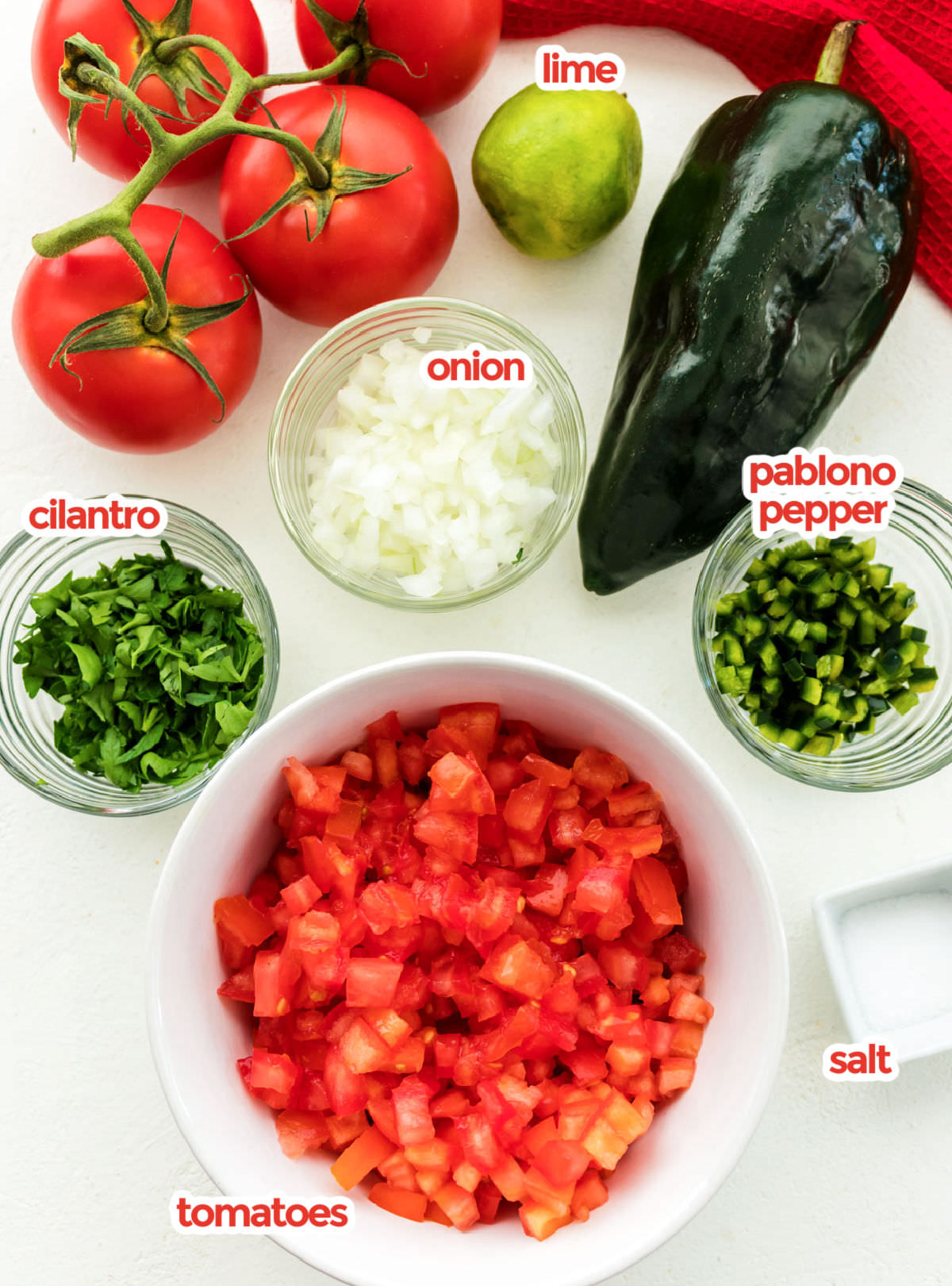 All the ingredients you will need to make Pico de Gallo including tomatoes, cilantro, onion, pablono pepper, lime and tomatoes on the vine.