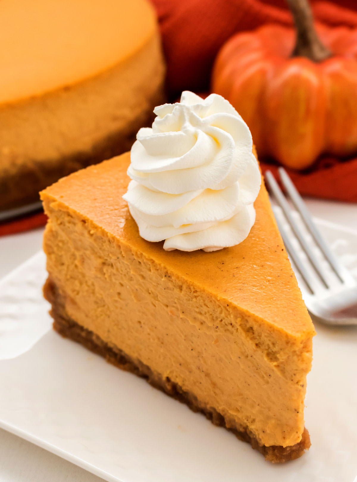 Closeup on a piece of Pumpkin Cheesecake topped with a dollop of Whipped Cream sitting on a white plate in front of a pumpkin and the rest of the cheesecake.