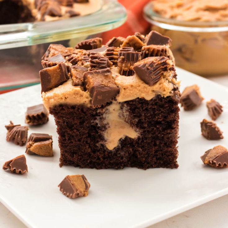 Chocolate Peanut Butter Poke Cake