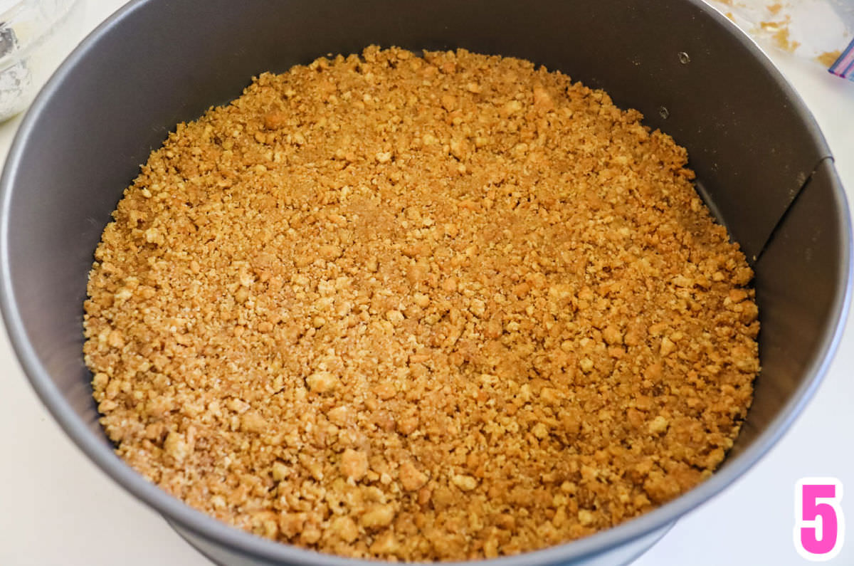 Closeup on a graham cracker crust in a springform pan.