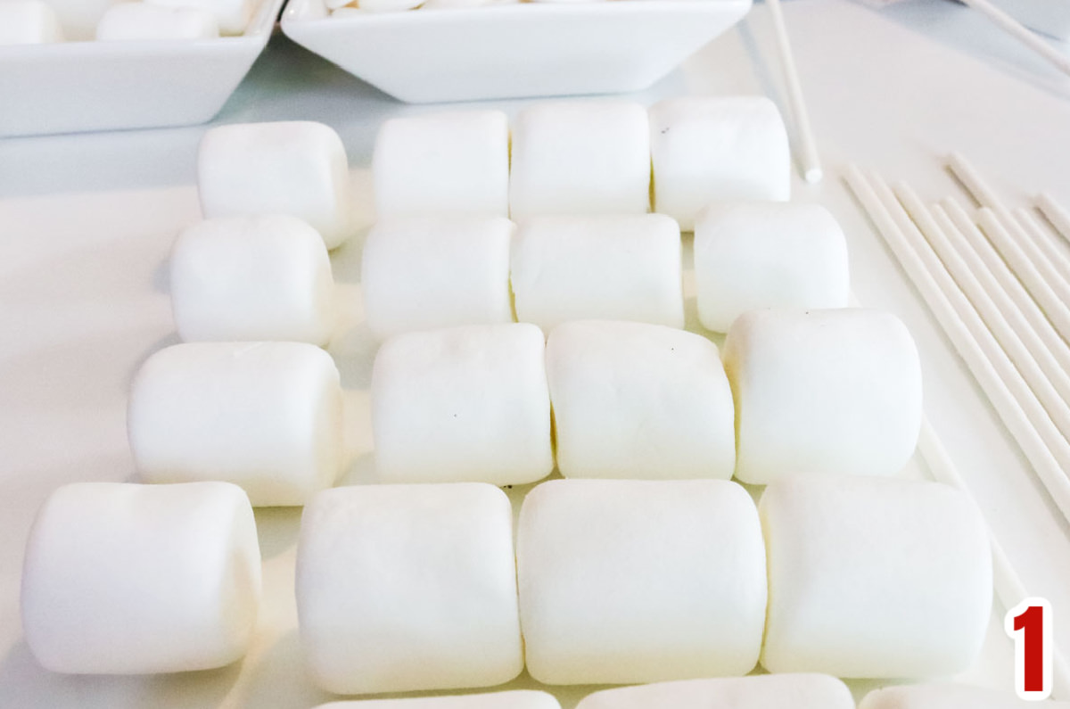 Marshmallows laying in rows next to lollipop sticks.