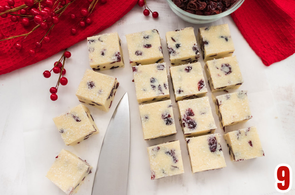 Overhead shot of sixteen White Chocolate Cranberry Fudge arranged in rows on a white table surrounded by cranberries.